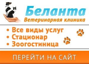 PRO PLAN® MAINTENANCE для взрослых кошек, с индейкой в желе